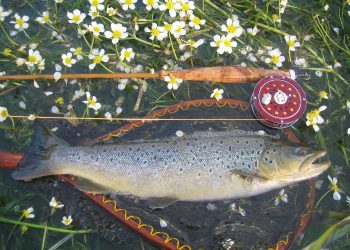 Best Spinning Rods for Trout Fishing