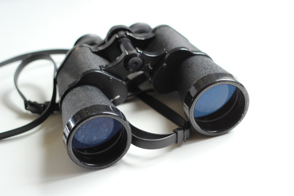 Binoculars Buying Guide