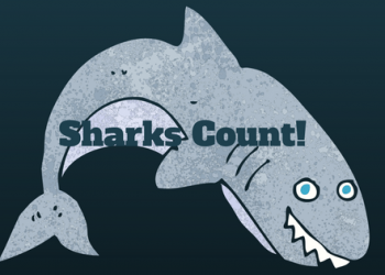 Sharks count