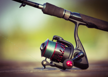 Best Fishing Reels
