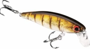 Dynamic Trout Fish Lures