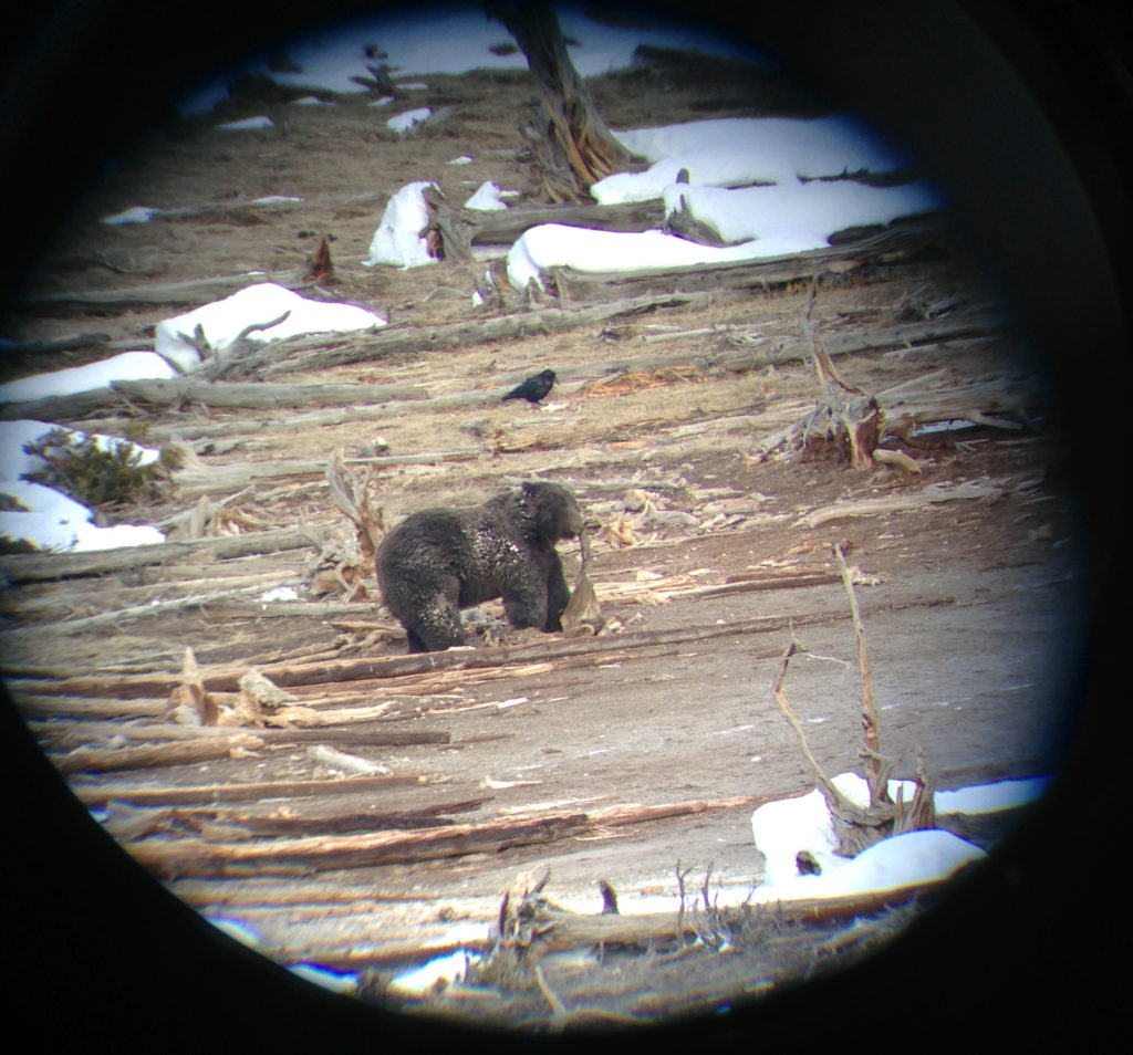 Spotting Scope Field Of View