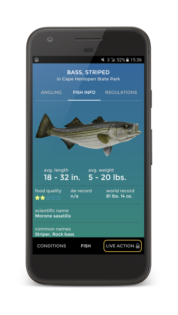 Best Fishing Apps 2024 - Ricca Chloette