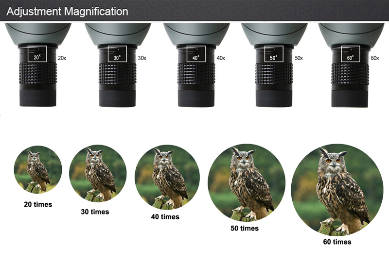 Spotting Scope Magnification